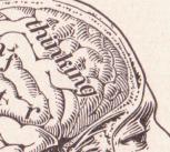 Our brain