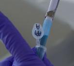 Pipette