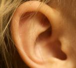 Ear
