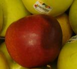 apples