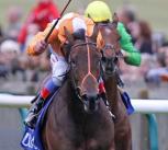 Parish Hall on right (a champion with Northern Dancer ancestry on both sides) wins the Group 1 Dubai Dewhurst Stakes at Newmarket in October 2011 for Jim Bolger