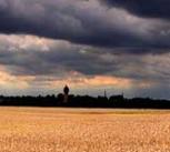 Field and sky