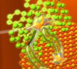 When light is absorbed in pentacene, the generated singlet excitons rapidly undergo fission into pairs of triplets that can be efficiently transfered onto inorganic nanocrystals.