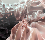 False-colour microscopic view of a reduced graphene oxide electrode (black, centre), which hosts the large (on the order of 20 micrometers) lithium hydroxide particles (pink) that form when a lithium-oxygen battery discharges.