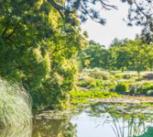Cambridge University Botanic Garden (CUBG) 
