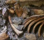 DNA was extracted from the molar teeth of this skeleton, dating from almost 10,000 years ago and found in the Kotias Klde rockshelter in Western Georgia.
