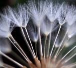 Clusters