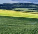 Agriculture
