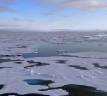arctic