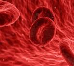 Red blood cells