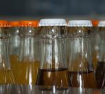 Bottles of soft drink