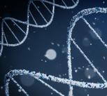 DNA