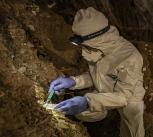 Assistant Professor Mikkel Winther Pedersen with team members sampling the different cultural layers in the cave. 