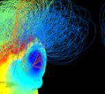Brain signals from healthy and vegetative state patients