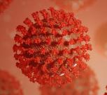 Image of SARS-CoV-2 viruses