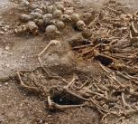 A mass grave of around 50 headless Vikings from a site in Dorset, UK. Some of these remains were used for DNA analysis.