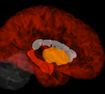 In healthy tissues, a gene expression signature associated with amyloid-beta and tau aggregation echoes the progression of AD well before the onset of the disease.
