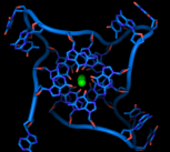 Crystal structure of parallel quadruplexes from human telomeric DNA.