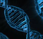 DNA illustration