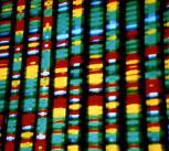 DNA representation