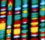 DNA representation (cropped)