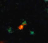 The central object is a very distant galaxy, labelled BDF 3299. The bright red cloud just to the lower left is the ALMA detection of a vast cloud of material that is in the process of assembling the very young galaxy
