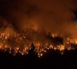 Fire at Sequoia National Park, California