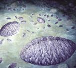Artist's reconstruction of the Fractofusus community on the H14 surface at Bonavista Peninsula 
