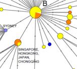 Figure from the PNAS paper showing the transmission routes using phylogenetic networks