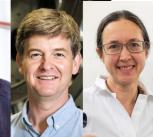 Left-right: Holger Babinsky, Andrea Ferrari, Rob Miller, Rachel Oliver