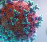 visualisation of the Covid-19 virus