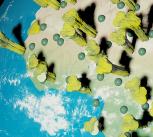 3d digital image corona virus on planet Earth in Africa