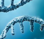 Illustration of mRNA strand