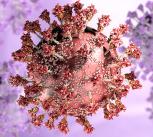Covid-19 seen under the microscope. SARS-CoV-2, 3D rendering