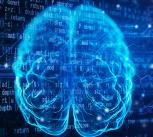 Computer generated image of a human brain