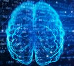 Brain on molecular structure, circuitry, and programming code background