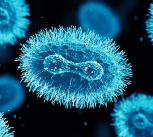 Monkeypox virus - 3D render