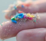 Researcher holding small pieces of micro plastic pollution washed up on a beach 