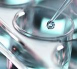 Pipetting sample into a tray