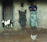 Household takes refuge from the rain in central Malawi