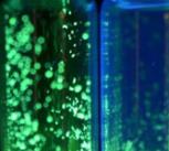 Molecules in a test tube giving off light 