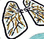 Blue and Brown Anatomical Lung Wall Decor. Hand Embroidery Applique by Hey Paul Studios