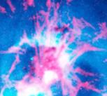 Perseus alpha x-rays