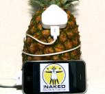 Possible to power an iPod with a Pineapple?