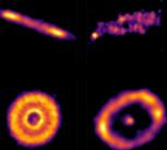 Millimetre continuum images for the REASONS resolved sample of 74 exocomet belts