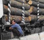 Siberian timber being delivered to China