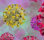 Virus variants
