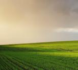 Rural Landscape near Fife