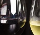 Red and white wine in glasses