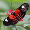 Climate and nature